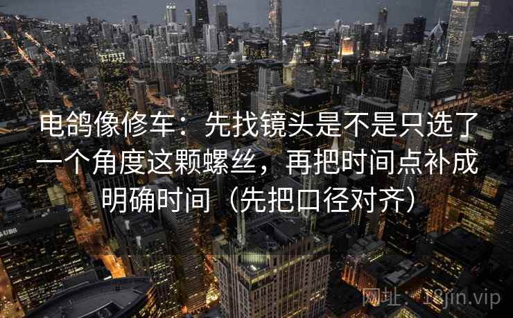 电鸽像修车：先找镜头是不是只选了一个角度这颗螺丝，再把时间点补成明确时间（先把口径对齐）